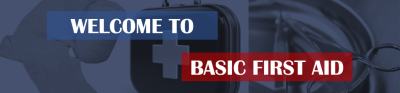 BFATitleBanner.PNG