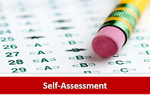 Self-Assessmenticon.png